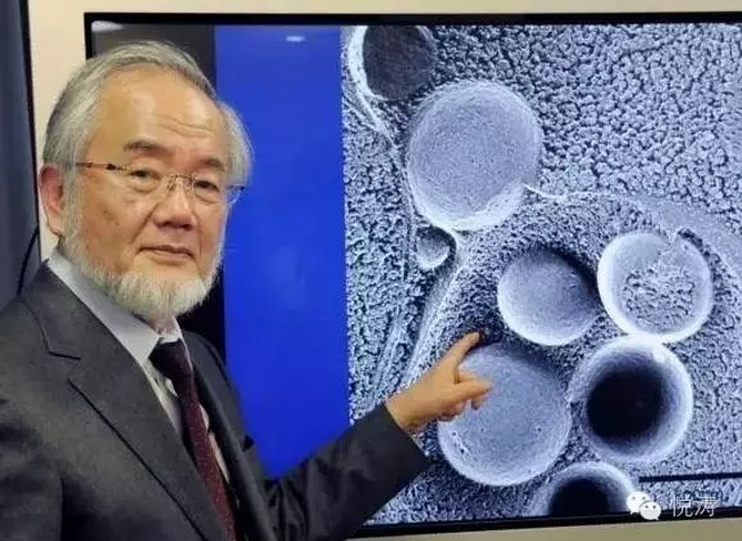 我們瘋狂地?fù)尫孔樱麄冊诏偪癫季治磥恚C(jī)器人赫然在列！