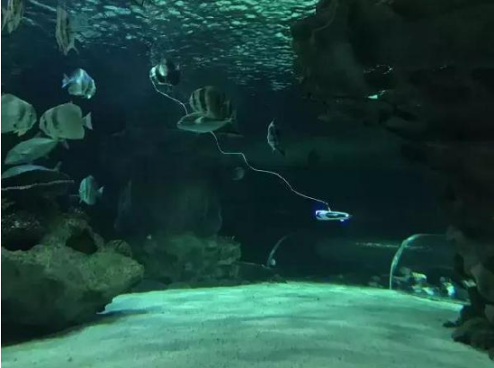 水下拍攝機器人來了，可水下拍照、攝影、尋魚、放釣鉤