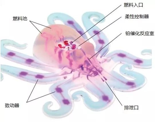 一文讀懂柔性機器人，看似“柔若無骨”的背后有哪些黑科技