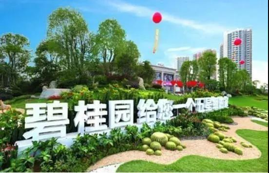 碧桂園的機(jī)器人王國之夢