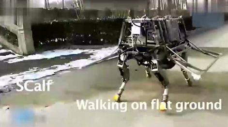 號稱比肩美軍的國產(chǎn)“大狗”機(jī)器人真身曝光