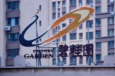 碧桂園高層人事大變動(dòng) 發(fā)力機(jī)器人、現(xiàn)代農(nóng)業(yè)業(yè)務(wù)